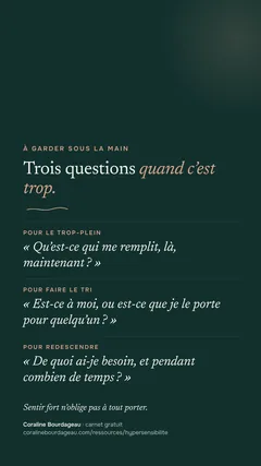 Carte pour le téléphone : trois questions à se poser quand tout devient trop fort.